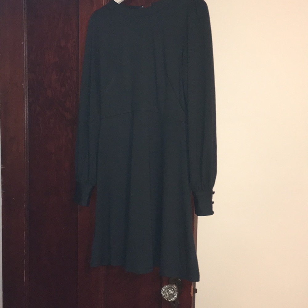 Dark green long sleeve LOFT dress size 2p